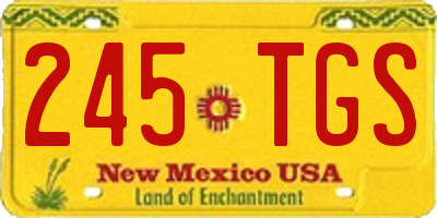 NM license plate 245TGS