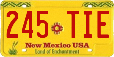 NM license plate 245TIE