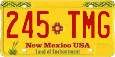 NM license plate 245TMG