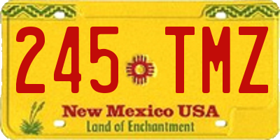 NM license plate 245TMZ