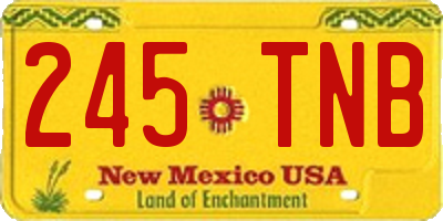 NM license plate 245TNB