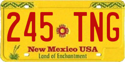 NM license plate 245TNG