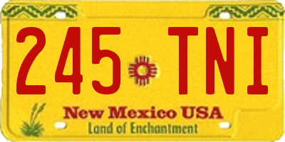 NM license plate 245TNI