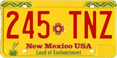 NM license plate 245TNZ