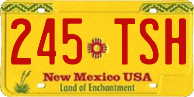 NM license plate 245TSH