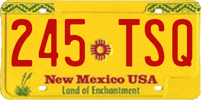 NM license plate 245TSQ