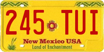 NM license plate 245TUI
