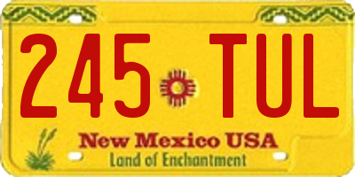 NM license plate 245TUL