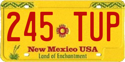 NM license plate 245TUP