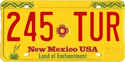 NM license plate 245TUR