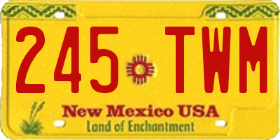 NM license plate 245TWM