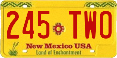 NM license plate 245TWO