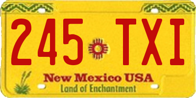 NM license plate 245TXI