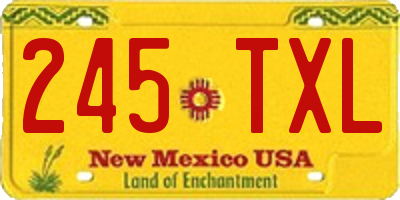 NM license plate 245TXL