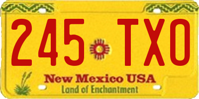 NM license plate 245TXO