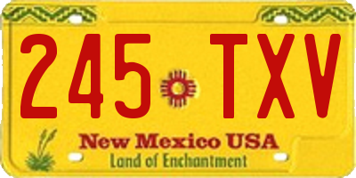 NM license plate 245TXV