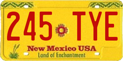 NM license plate 245TYE