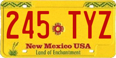 NM license plate 245TYZ
