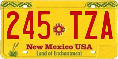 NM license plate 245TZA