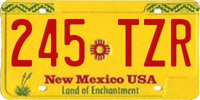 NM license plate 245TZR