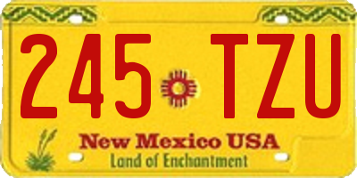 NM license plate 245TZU