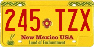 NM license plate 245TZX