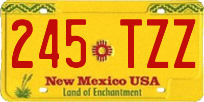 NM license plate 245TZZ