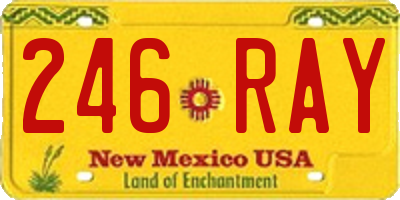 NM license plate 246RAY