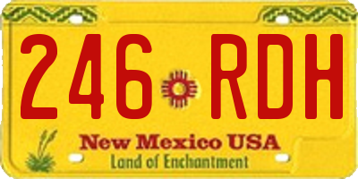 NM license plate 246RDH
