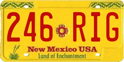 NM license plate 246RIG