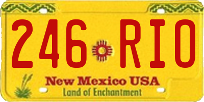NM license plate 246RIO