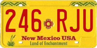 NM license plate 246RJU
