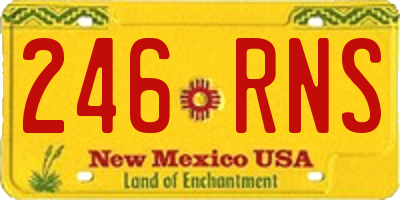 NM license plate 246RNS