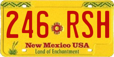 NM license plate 246RSH