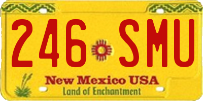 NM license plate 246SMU