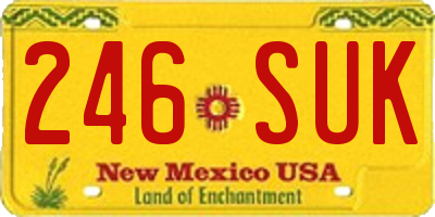 NM license plate 246SUK