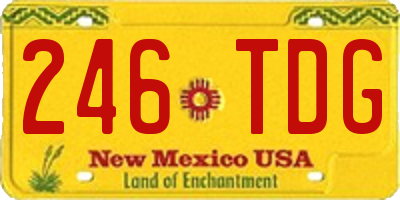 NM license plate 246TDG
