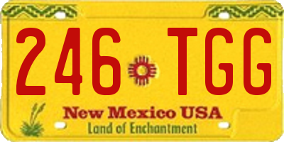 NM license plate 246TGG