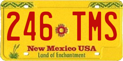 NM license plate 246TMS
