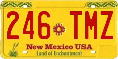 NM license plate 246TMZ