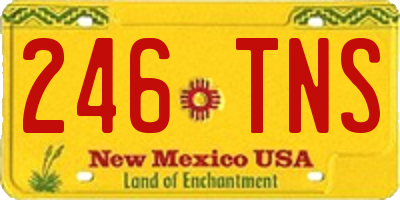 NM license plate 246TNS