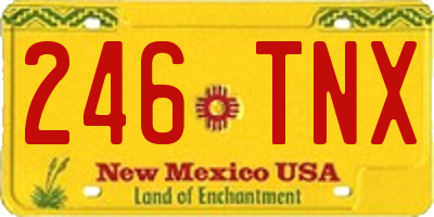 NM license plate 246TNX