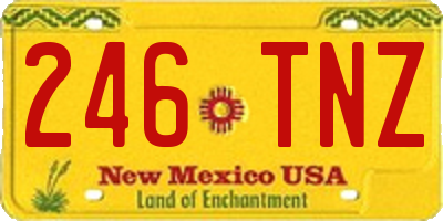 NM license plate 246TNZ
