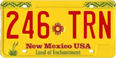 NM license plate 246TRN