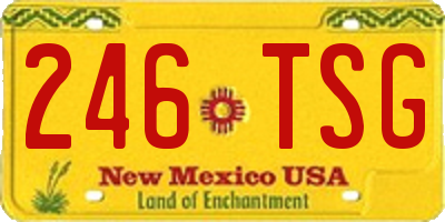 NM license plate 246TSG