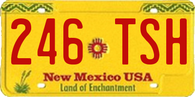 NM license plate 246TSH