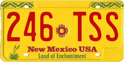 NM license plate 246TSS