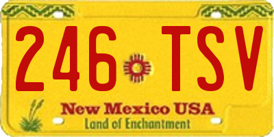 NM license plate 246TSV