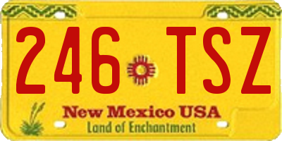 NM license plate 246TSZ