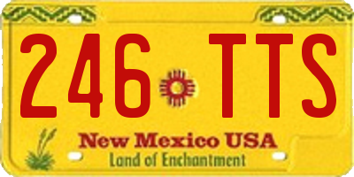NM license plate 246TTS